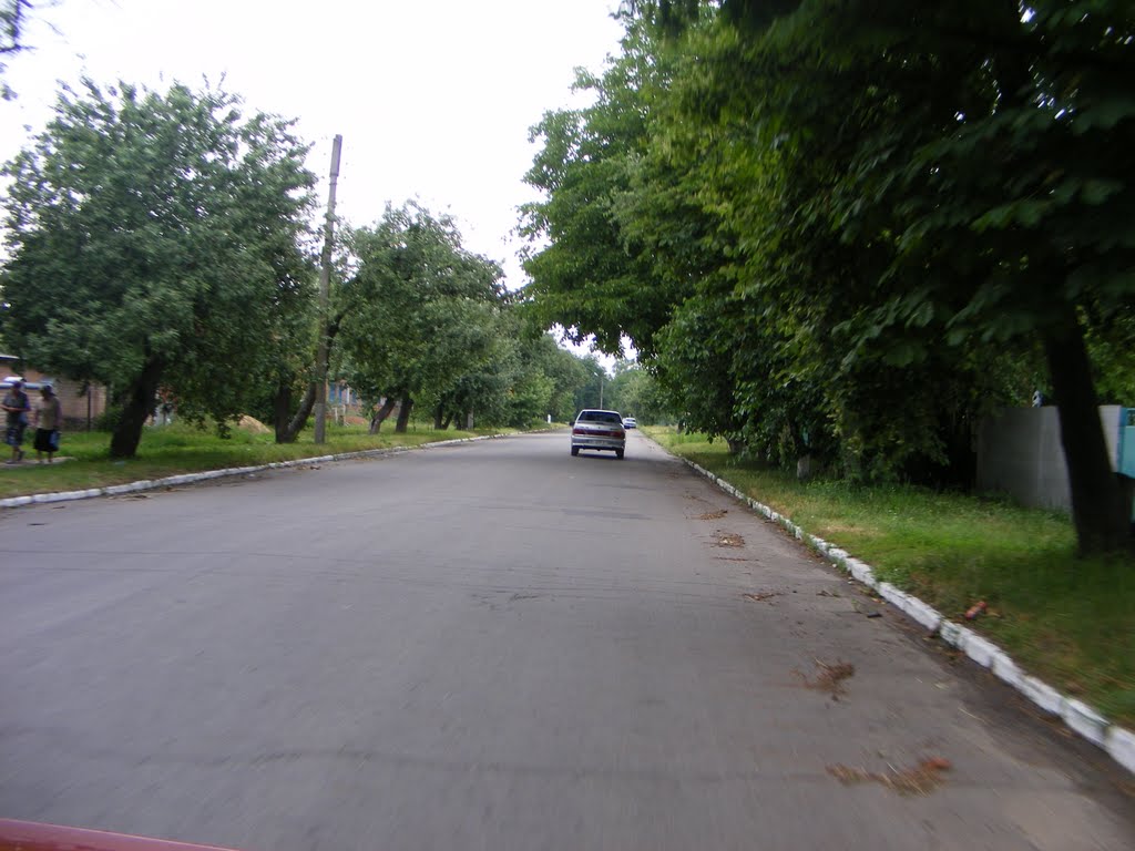 улица ленина