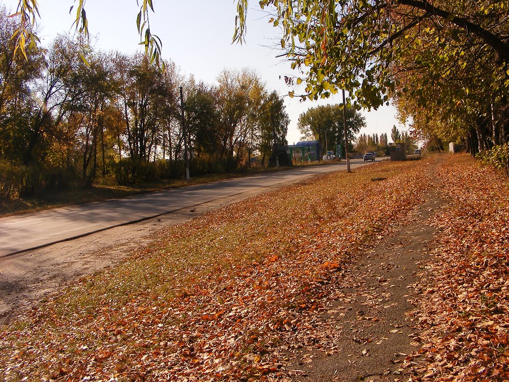 осень 2011