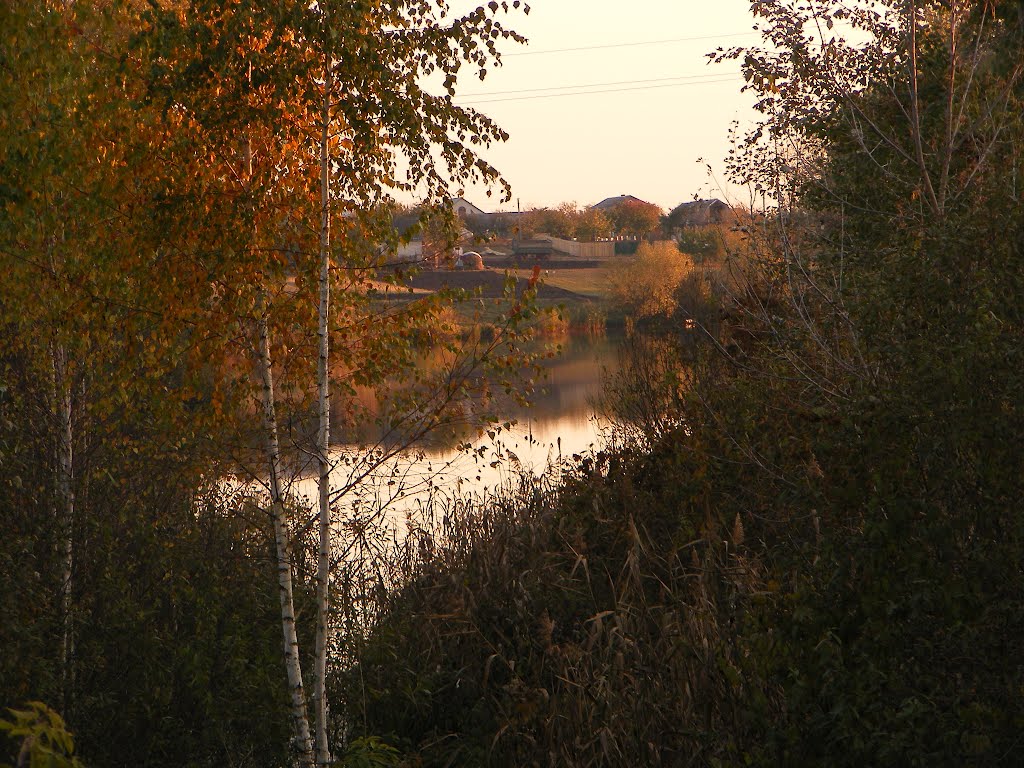 осень 2011
