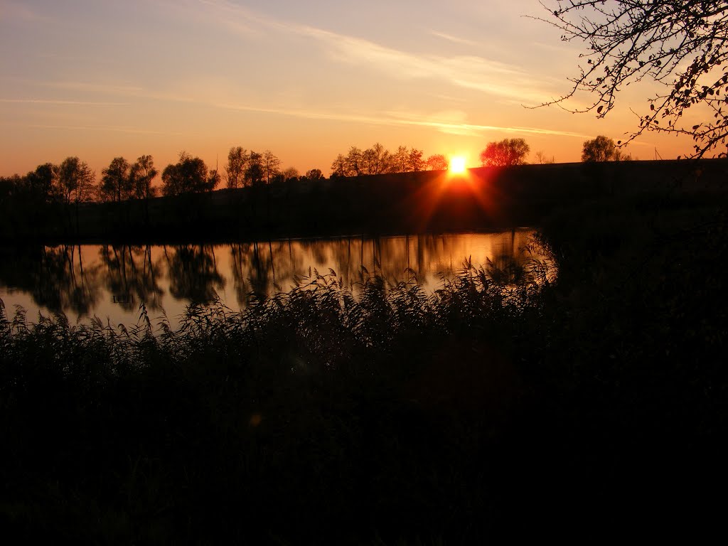 осень 2011