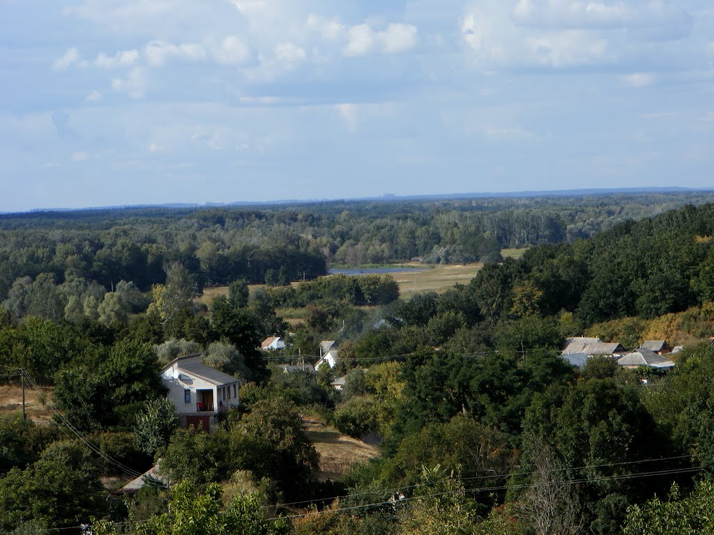 лето2011