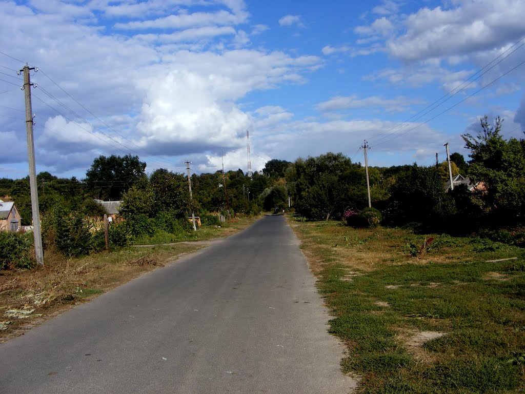 лето2011