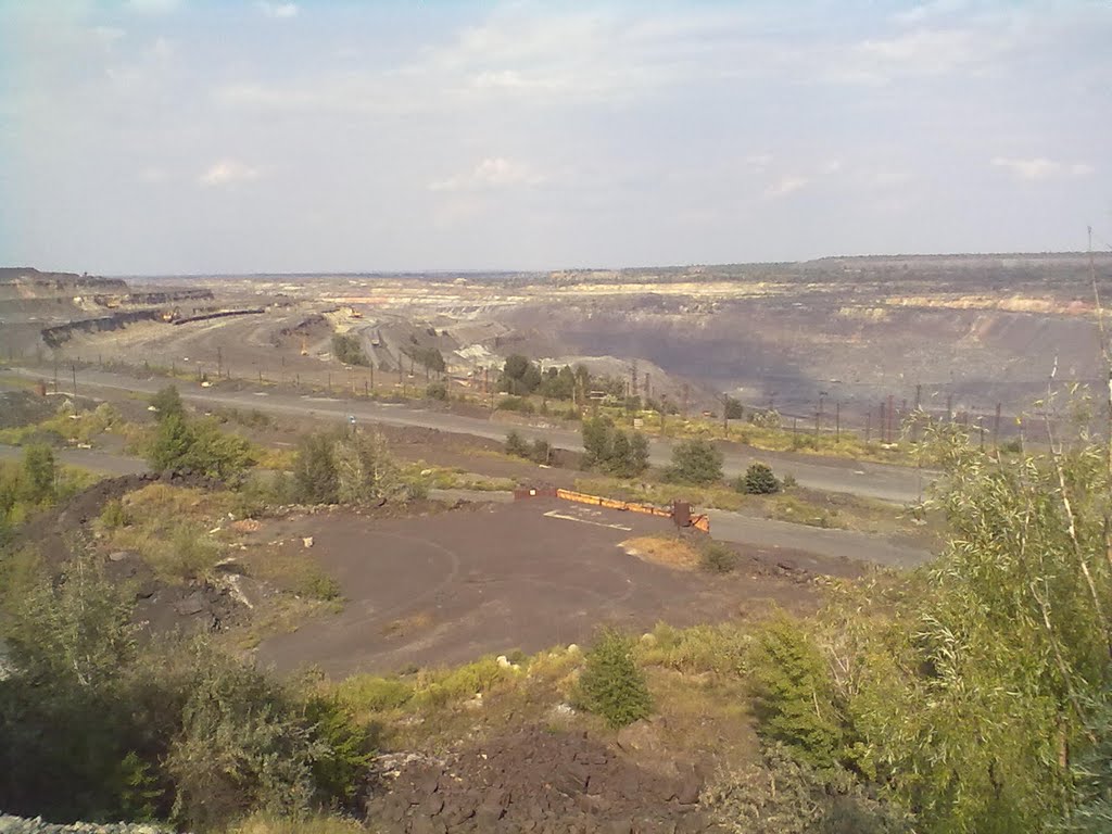 Муравейник