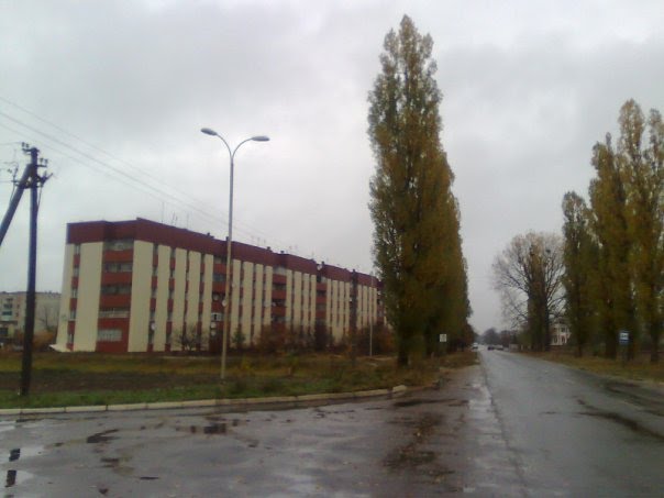 В`їзд в Володимирець