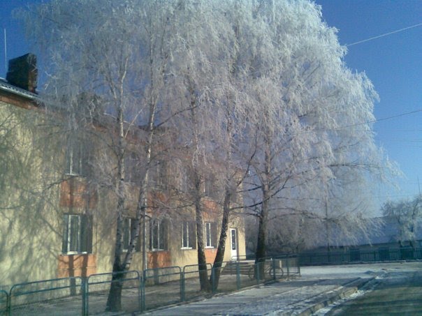 Volodymyrets