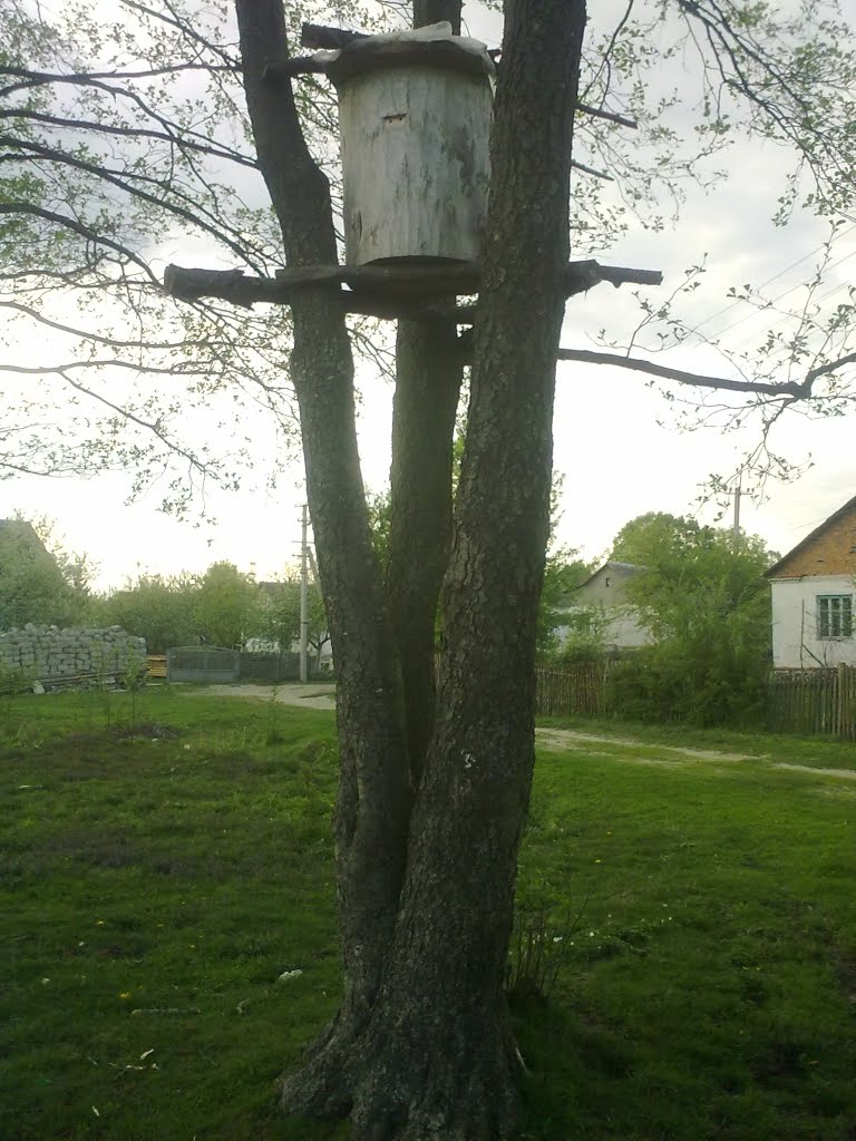 Вулик