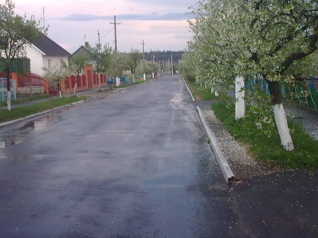 Вулиця Вишнева