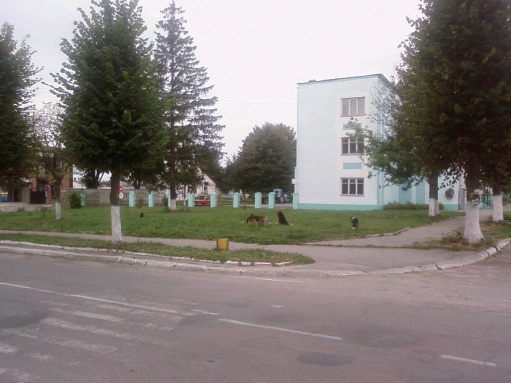 Ukrtelecom