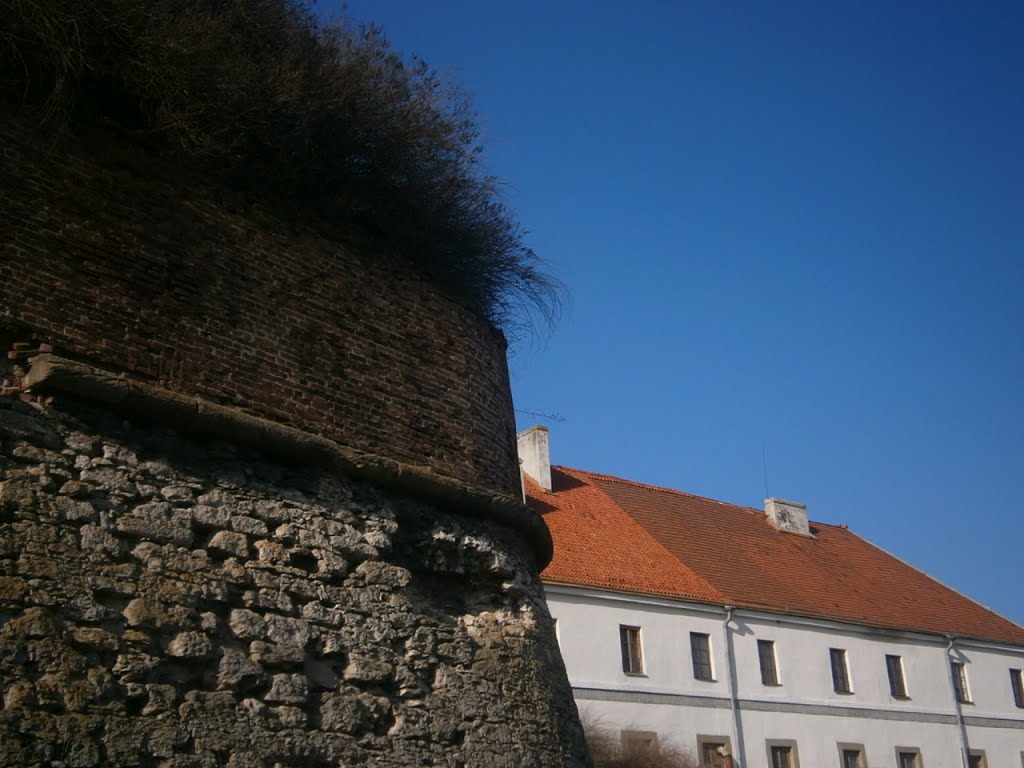 Dubno Castle