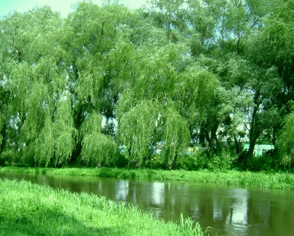 Дубно, річка Іква