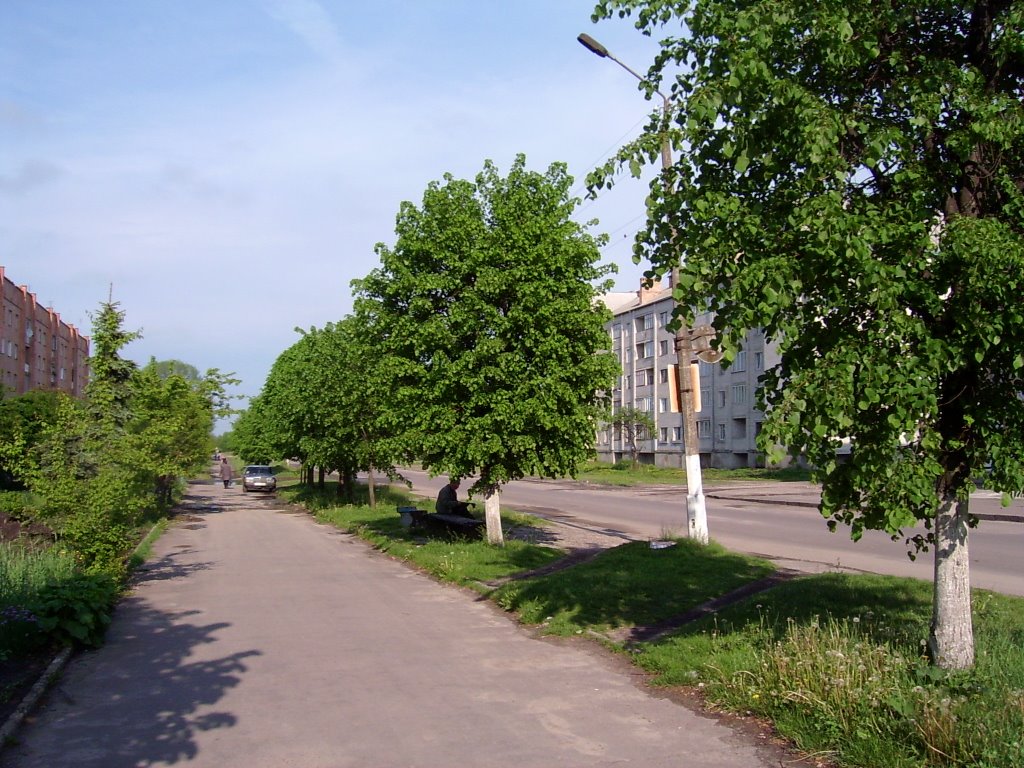 Dubno (3)