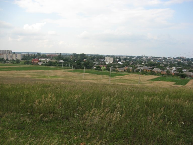 г. Відішова