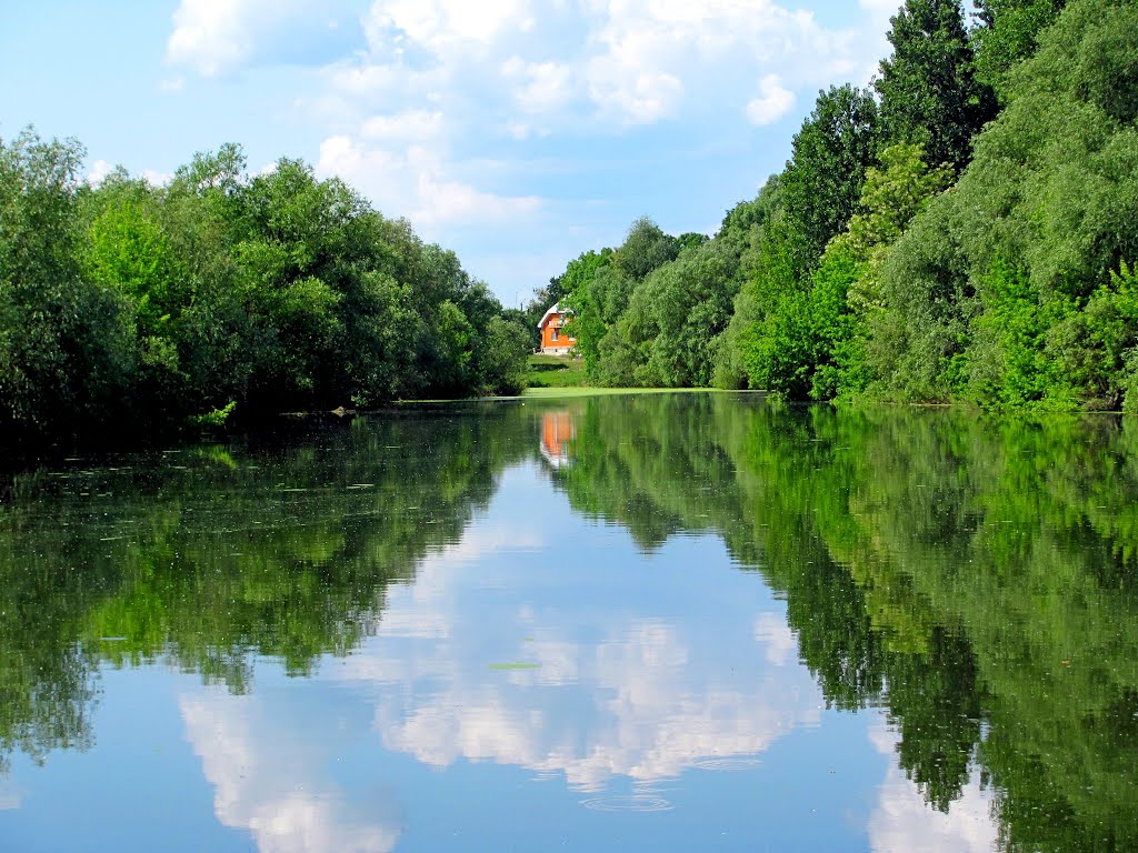 Старица р. Горынь.