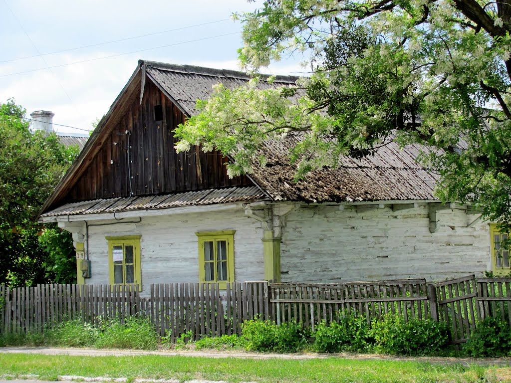 В тени акации...