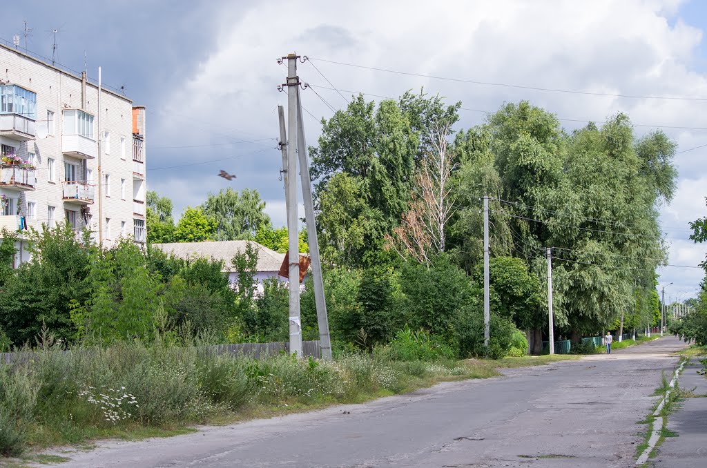 Дубровиця