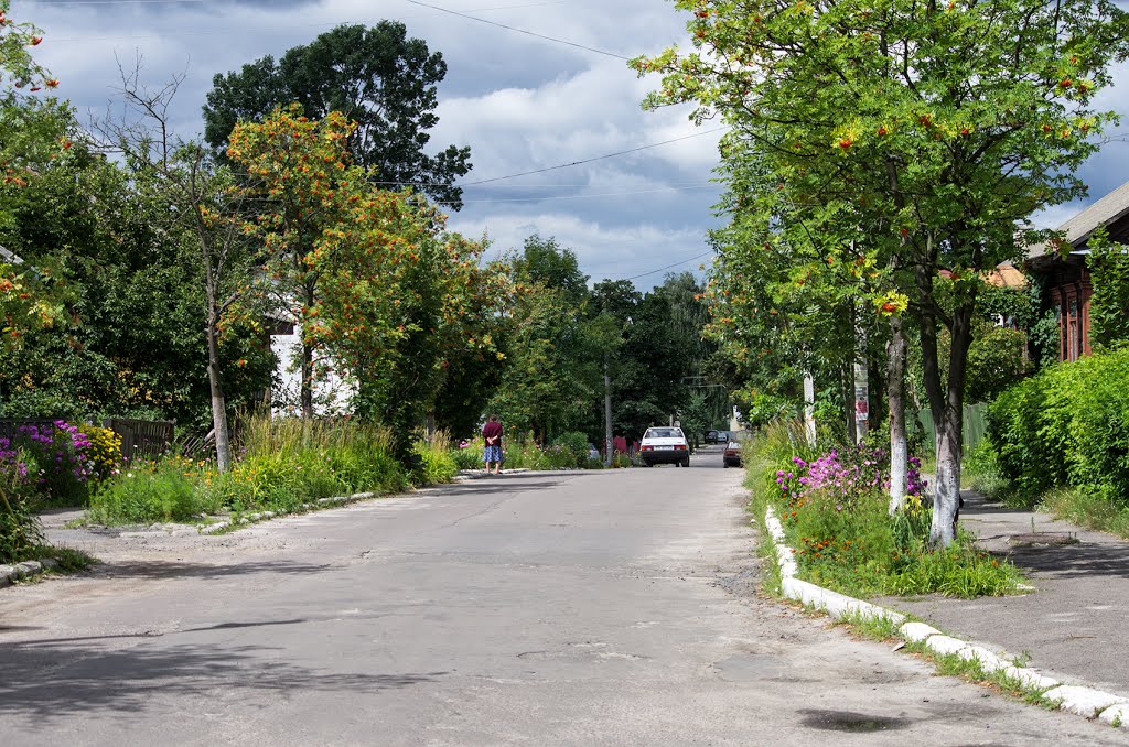 Дубровиця