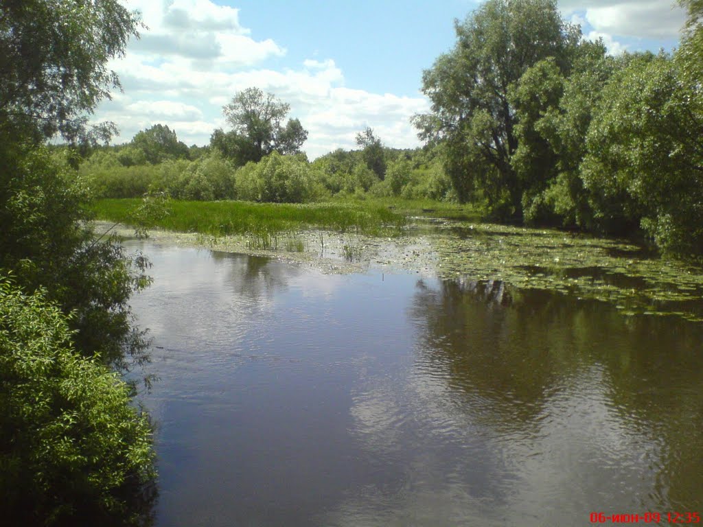 Zarichne