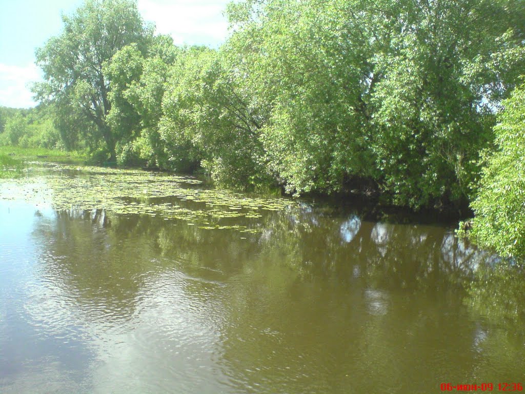Беларусь.Брестская область.Пинский район.Деревня Ладорож.