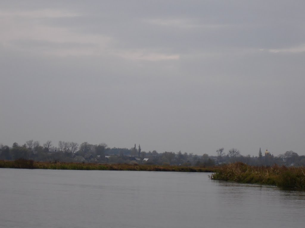 Зарічне