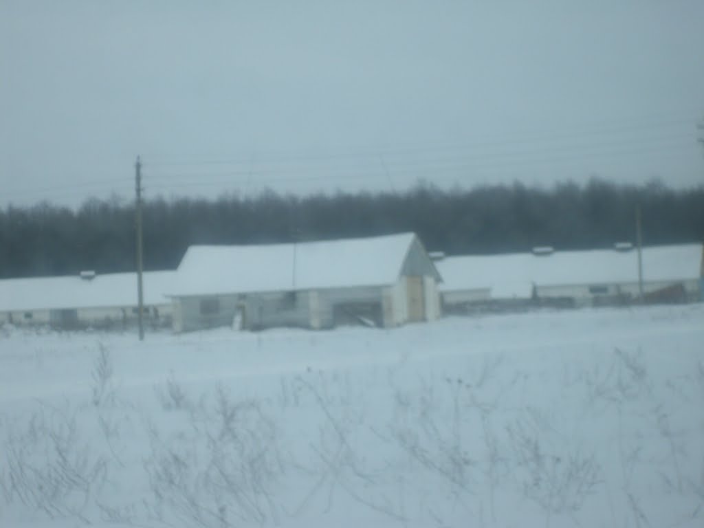 Паре