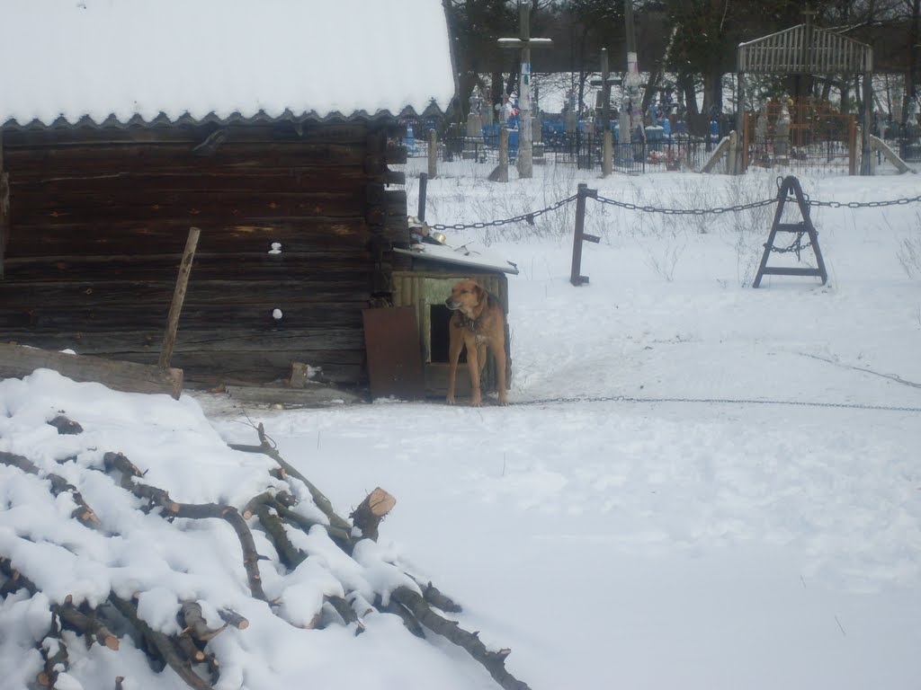 Паре
