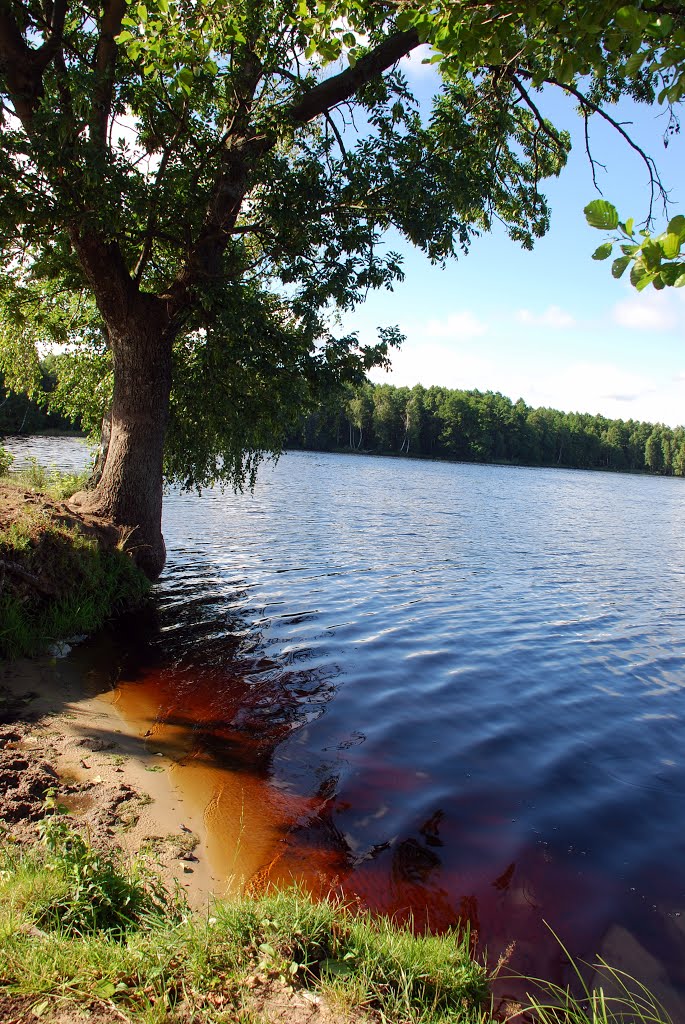 Bloody red water on the Chernoe Lake