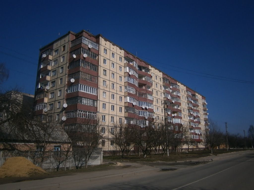 Street
