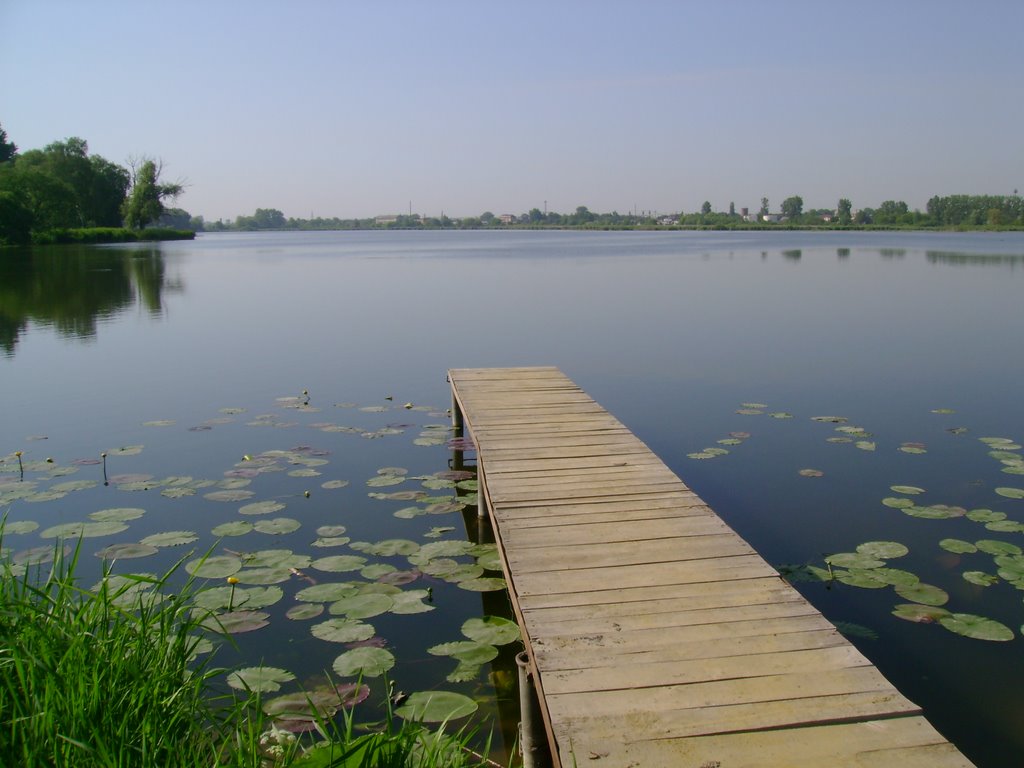 Вид на Старомильське вдсх.