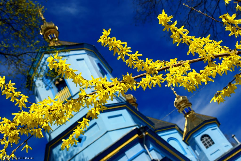 Свято-Михайлівська церква УПЦ Київського патріархату в с.Здовбиця