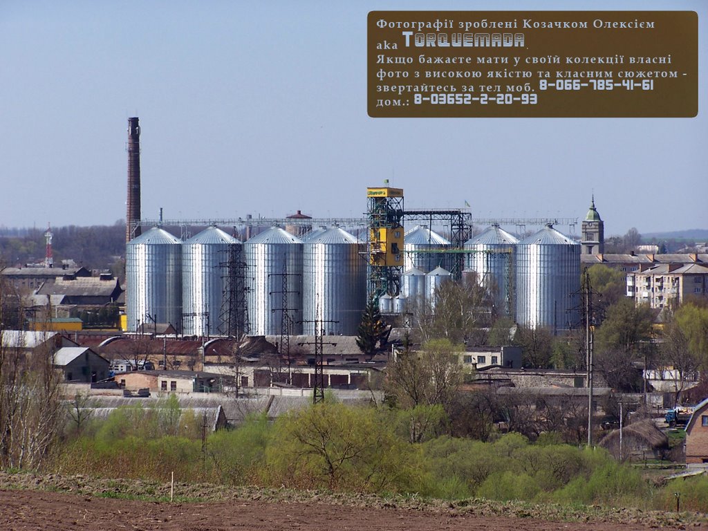 dry-grain plant