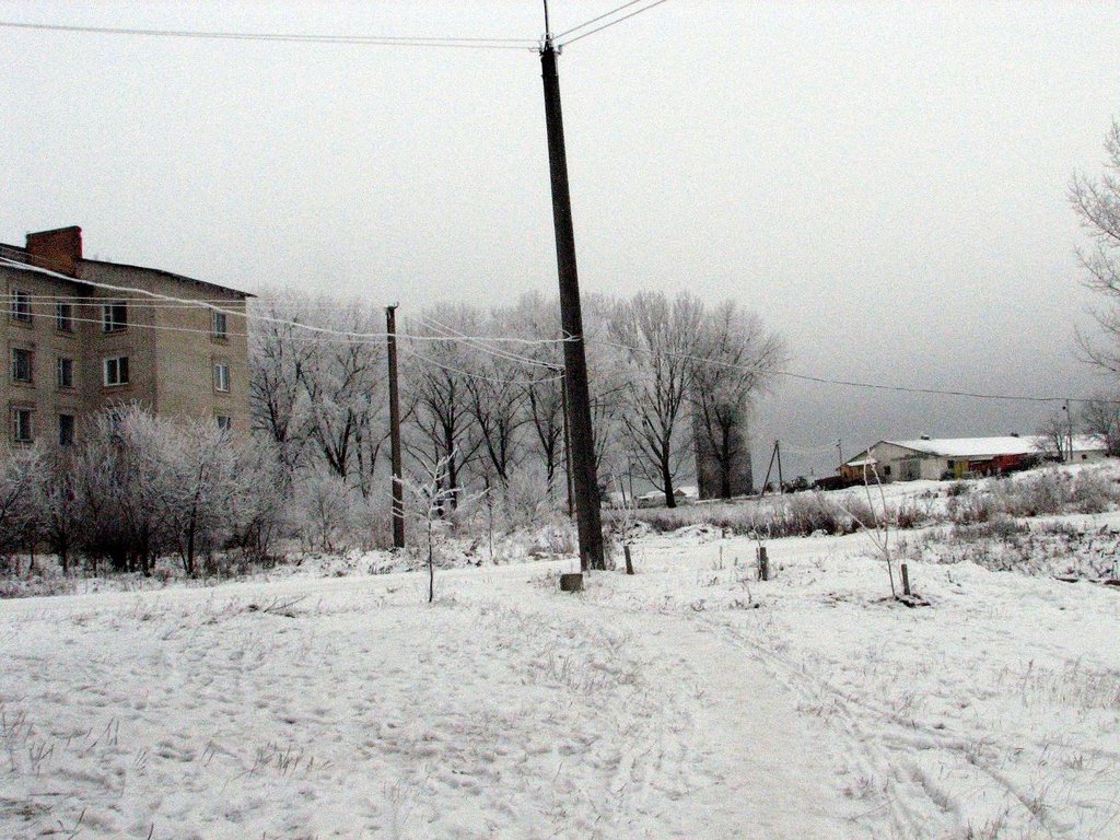 Zorya ferma