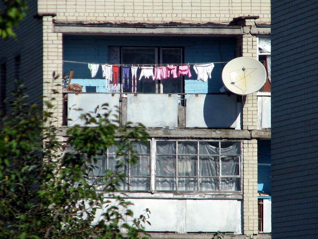Zorya 48dom