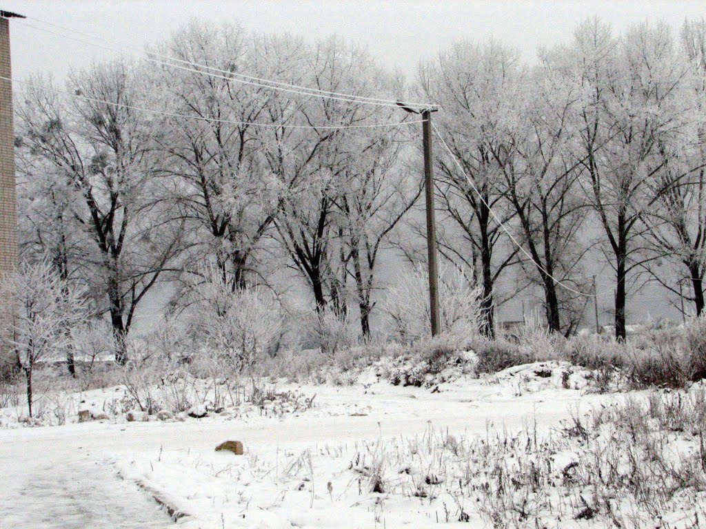 Заря