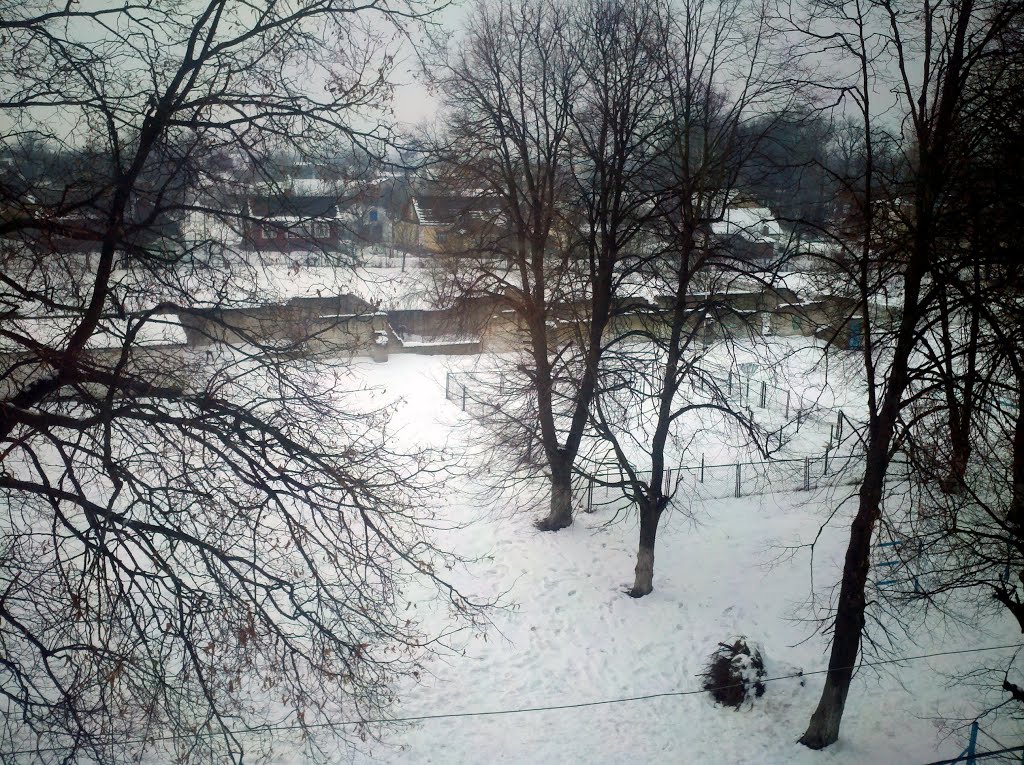 Територія за школою