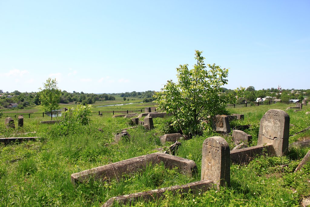 Korets jewish cemetery. The view from the newer part to Noviy Korets.