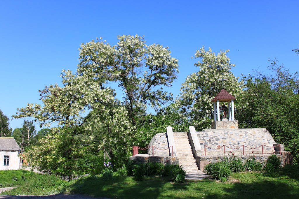 Korets. St. Antony holy place and the blooming acacia tree.