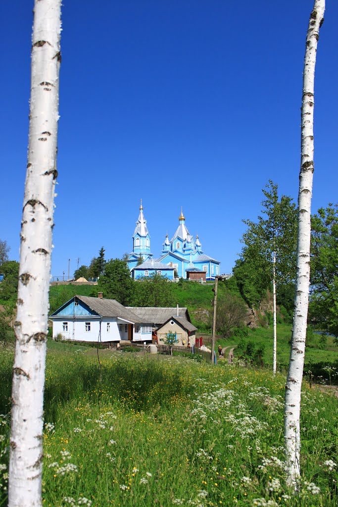 Noviy Korets. Sts. Cosmas and Damian church. The view between the birch trees.