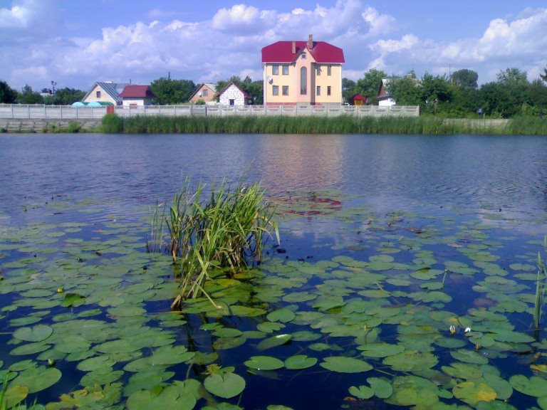 Костопіль