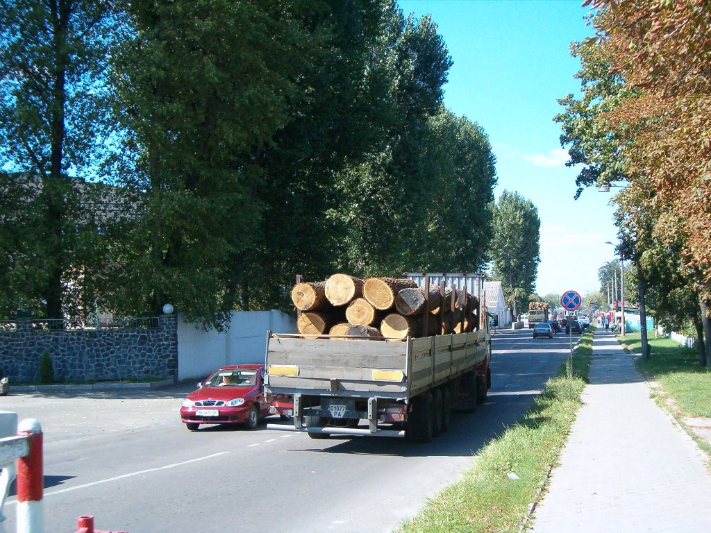 Везуть ліс...