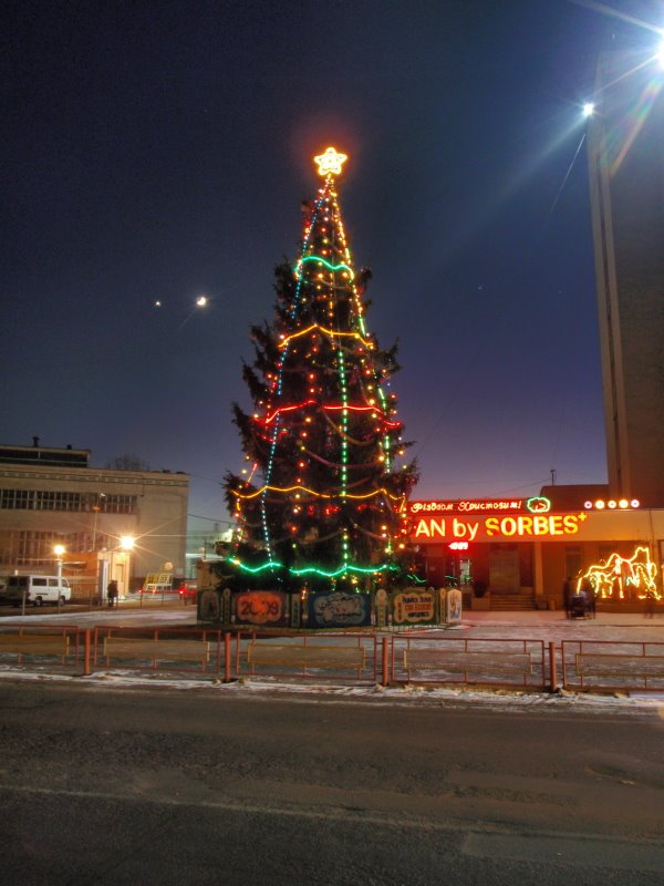 ДБК-2009