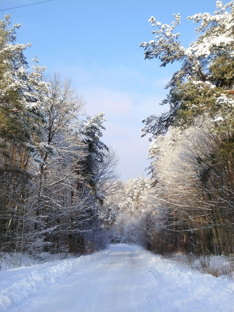 Дорога в казку-2