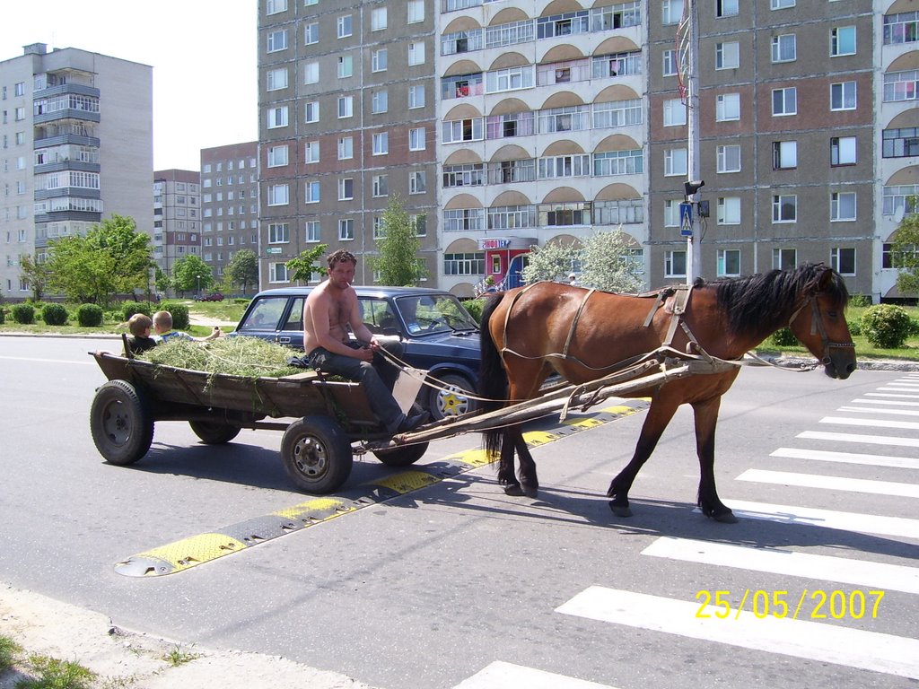 Современное средство передвежение