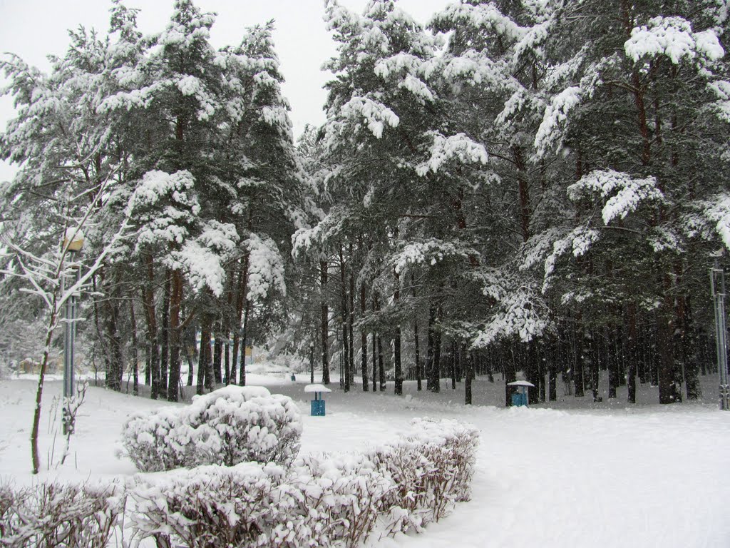 Зимний парк г. Кузнецовск.