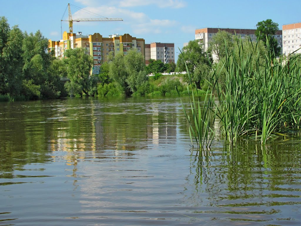 Река Стырь в г. Кузнецовске.
