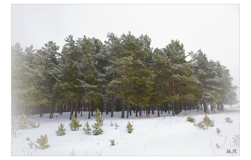 Winter pictures ...