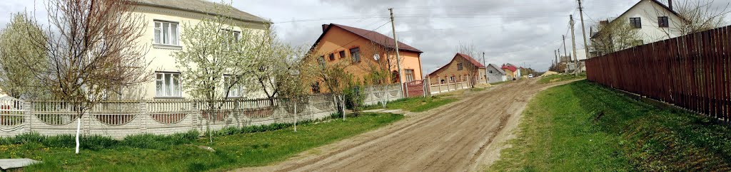 вул. Дорошенка