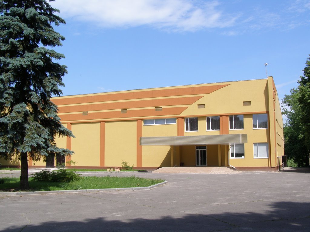 Районний центр дозвілля