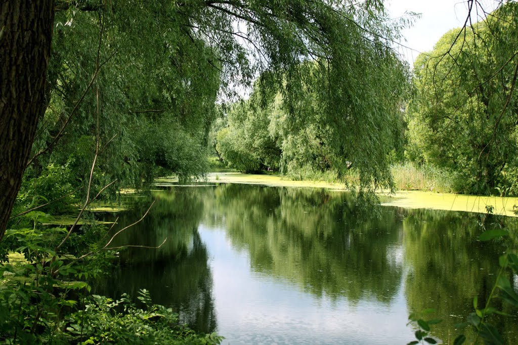 Mlyniv, W-Ukraine