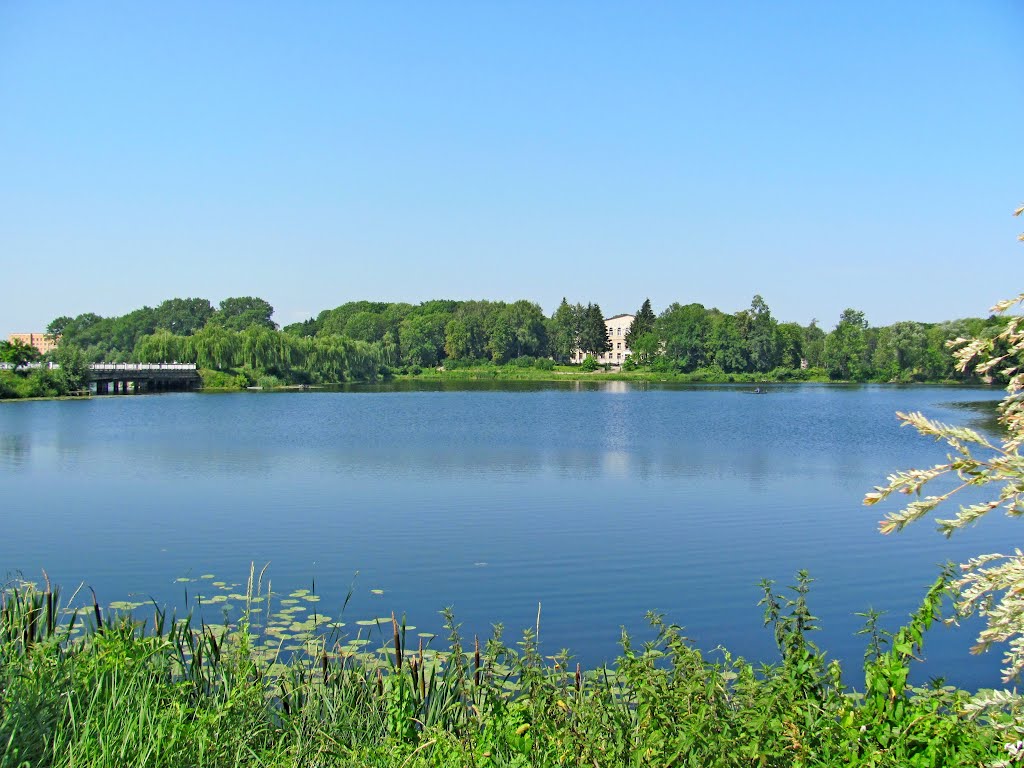 Река Иква,впереди парк Ходкевичей.