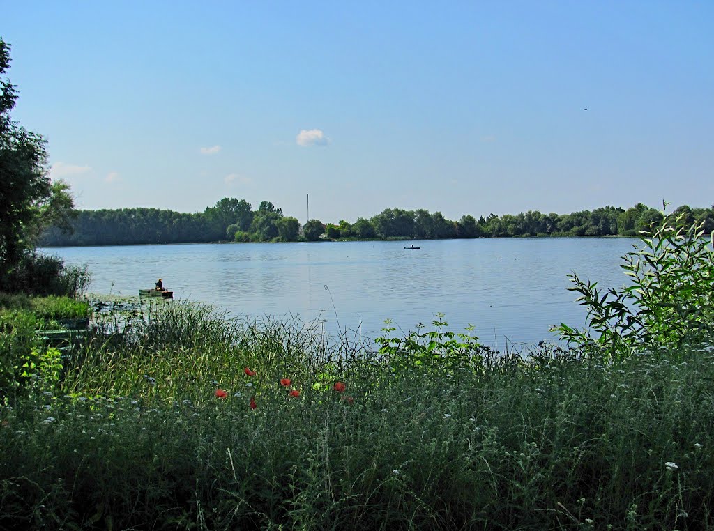 Река Иква. Красоты Волыни.